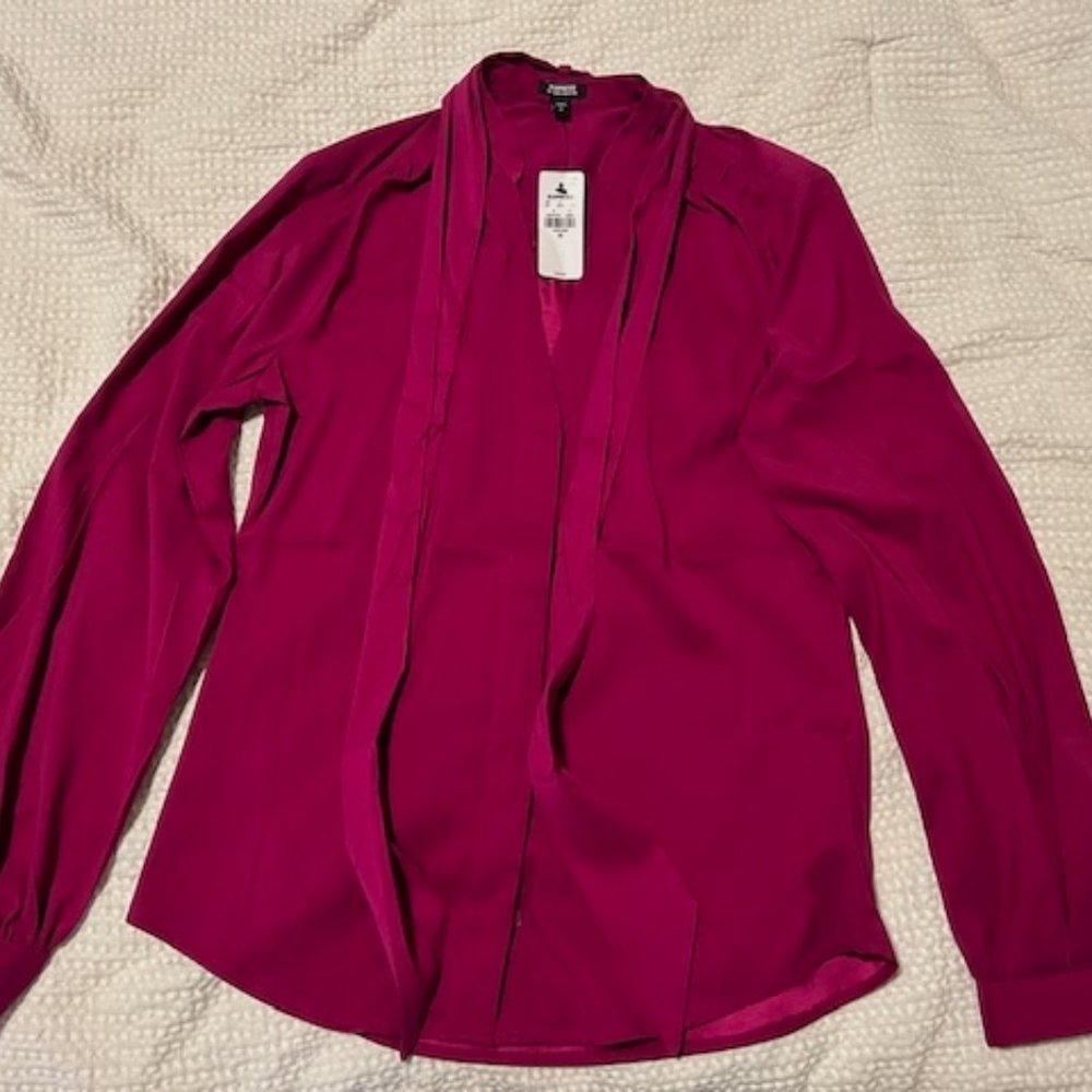 NWT Express Relaxed Satin Long Sleeve Tie Neck Portofino Shirt